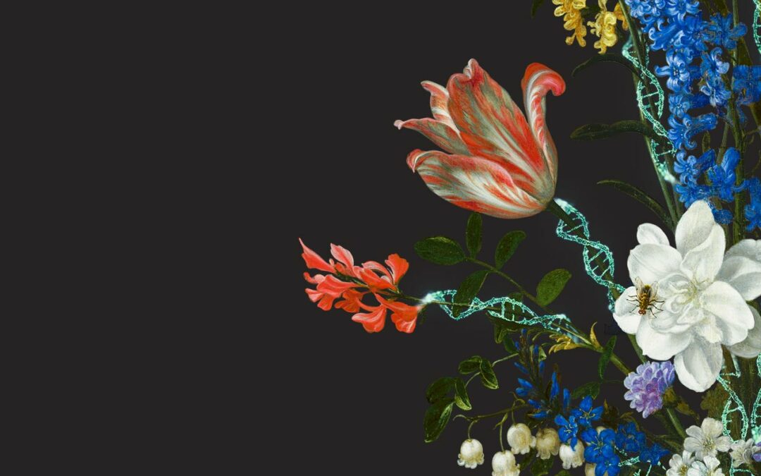 ECR 2022 – July