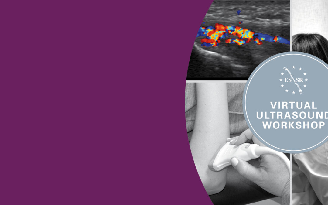 Virtual Ultrasound Workshop