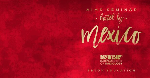 ESOR AIMS Seminar on Ultrasound hosted by Mexico